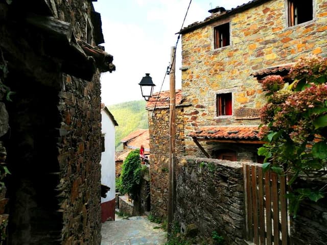 Punta Cana Tour Ida e volta.Transfer Particular Aporto Punta Cana/hotel Bavaro 1-6 pessoas