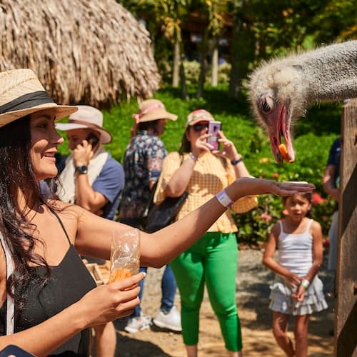 Quimbaya Ticket Parque Panaca