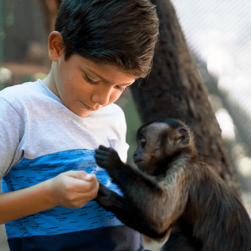 Akumal Ticket ATV Monkey Jungle Tour