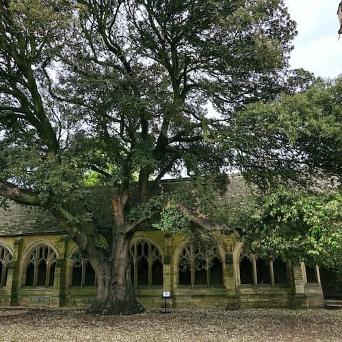 Oxford Ticket Oxford Harry Potter Film Locais de Locais para Caminhadas