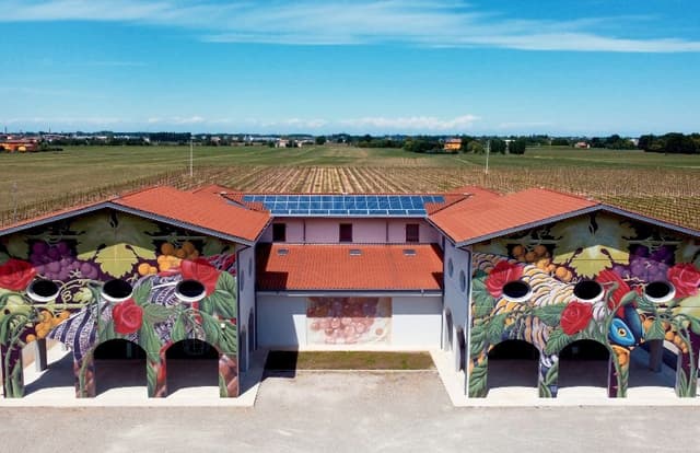 Modena Tour Tour Acetomodena balsâmico 