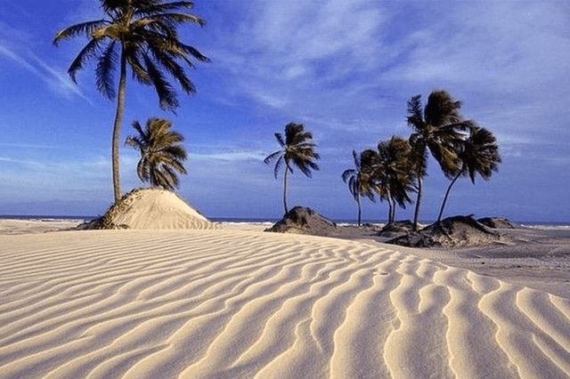 João Pessoa Tour Passeio de um dia na Praia do Capitão e Ihas com Catamarã - saindo de João Pessoa