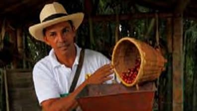 Medellin Tour Visita a uma fazenda de café em Antioquia 