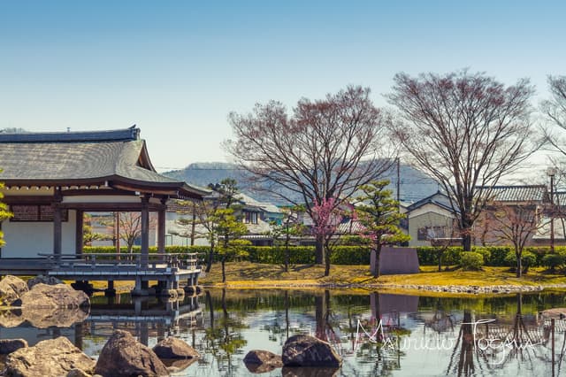 Tokyo Tour Segredos bem guardados de Tóquio: descubra a cidade pelos olhos de quem mora lá
