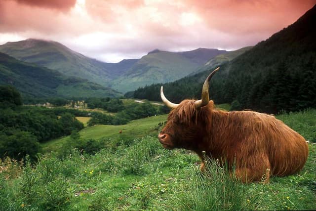 Edinburgh Tour Lago Ness e Montanhas da Escócia