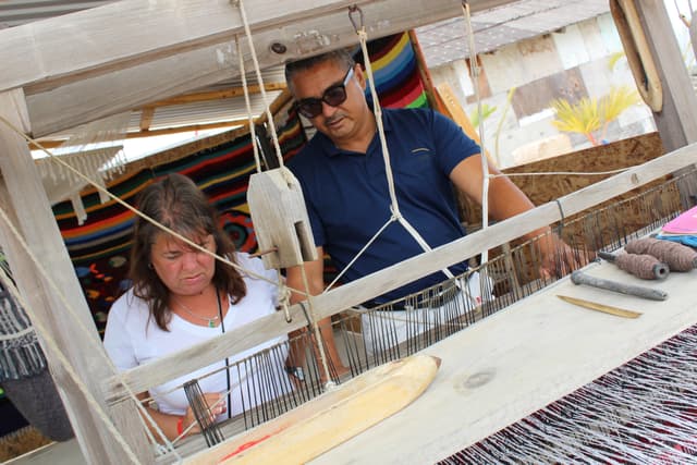 BCS Tour City Tour por Todos Santos