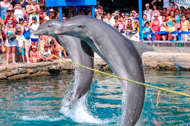Santa Marta Tour Aquário Playa Blanca em Santa Marta