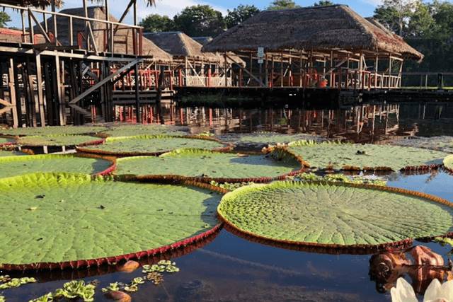 Leticia Tour Visita à Reserva Carbono Natural de Leticia