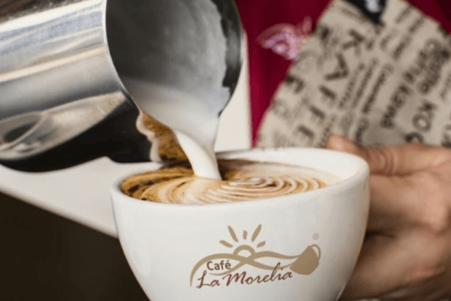 Manizales Tour Experiência de Café na Hacienda la Morelia (Manizales - Região Cafeeira)