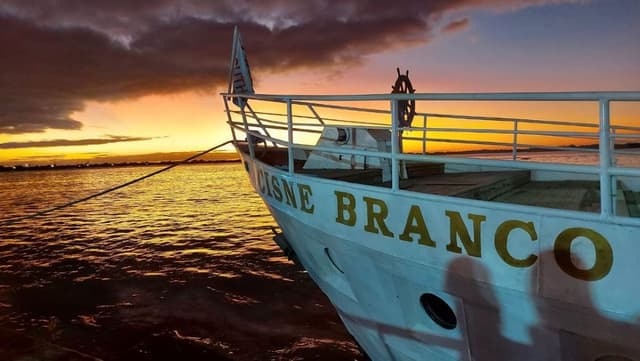 Porto Alegre Tour Barco Cisne Branco - Bilhete Navegação no Guaíba