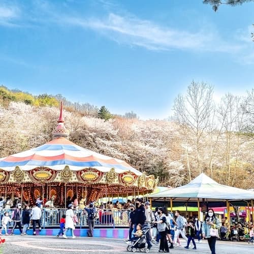 Seúl Ticket Seoulland: bilhete de entrada + Passeio de teleférico + Jardim Zoológico de Seul