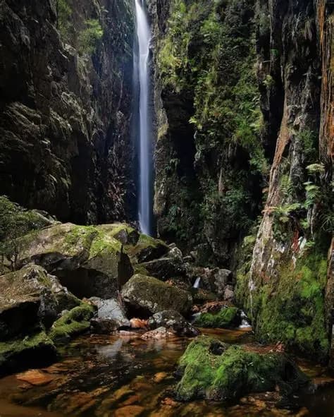 Paarl Tour  Trilha Secret Waterfall (Técnica)