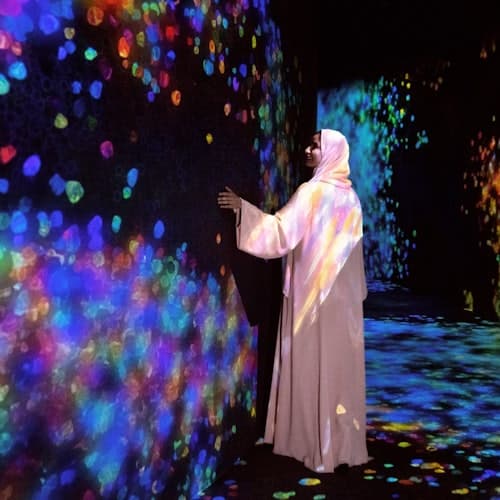 Abu Dabi Ticket Abu Dhabi: fenômenos do TeamLab