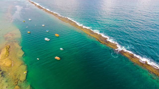 Marechal Deodoro Tour  Praia Francesa