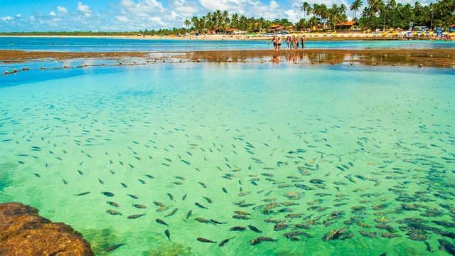 São Miguel dos Milagres Tour São Miguel dos Milagres: águas cristalinas