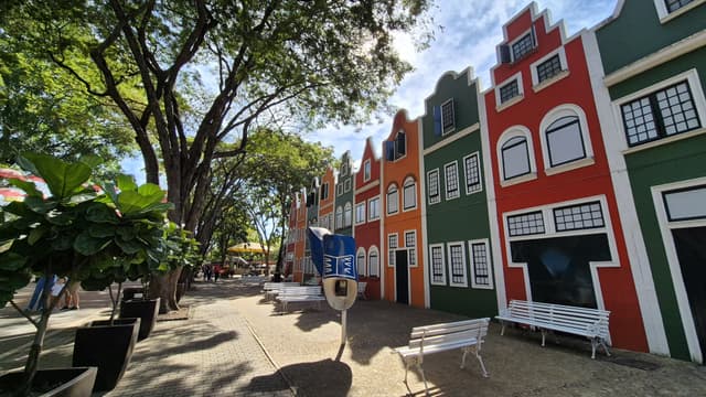 Holambra Tour São Paulo para Holambra