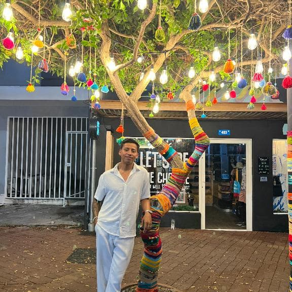 Bryan (Guia Oficial)