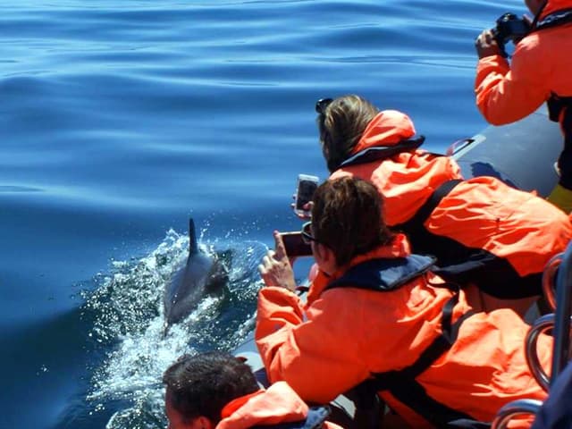 Guatemala Tour 2 em 1 - Colonial Antigua e Guatemala Moderna