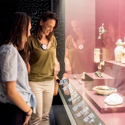 Lyon Ticket Musée des Confluences: bilhete de entrada