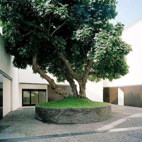 Málaga Ticket Museu Picasso de Málaga: Visita Guiada