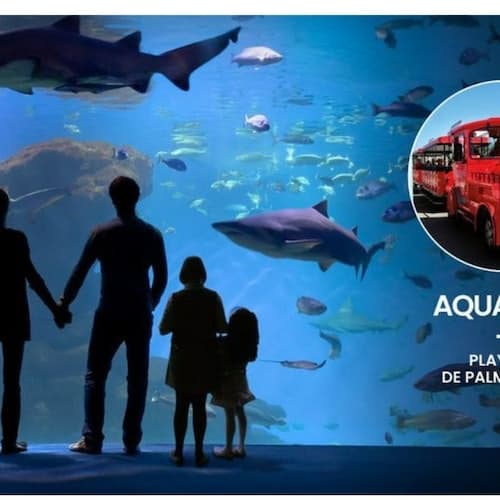 Palma de Mallorca Tour Aquário de Palma: Bilhete de entrada + Transferência de Playa de Palma