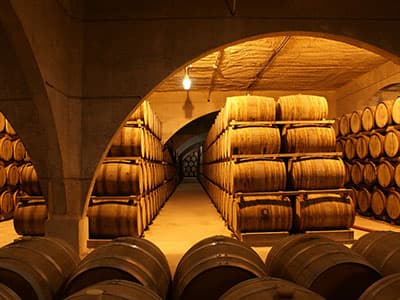 Montevideo Tour Visita Bodega Bouza + Almoço com harmonização de vinhos