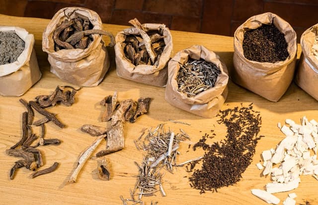 Turin Tour Aula de Vermouth em Turin