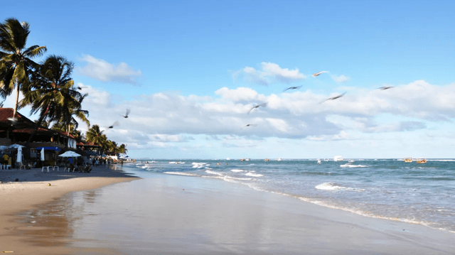 Recife Tour Combo: Trasfer de (IDA E VOLTA) do aeroporto de Recife para hotéis em Porto de Galinhas + Day Tour em Maragogi com Passeio de Catamarã