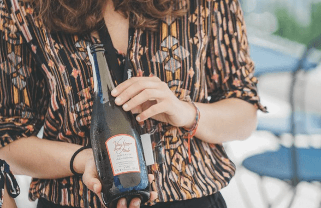 Venice Tour Excursão de vinho de meio dia - Saindo de Veneza