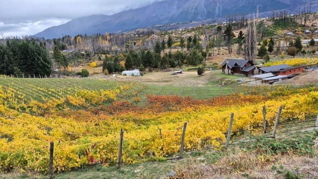 San Carlos de Bariloche Tour El Bolsón Gourmet: Harmonização de Vinhos Patagônicos