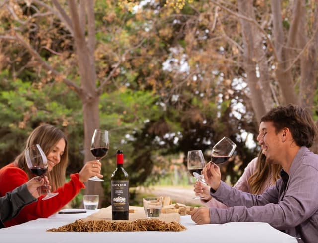 Mendoza Tour Vinhos, Vinhedos e Piquenique: Descubra o encanto das vinícolas de Mendoza