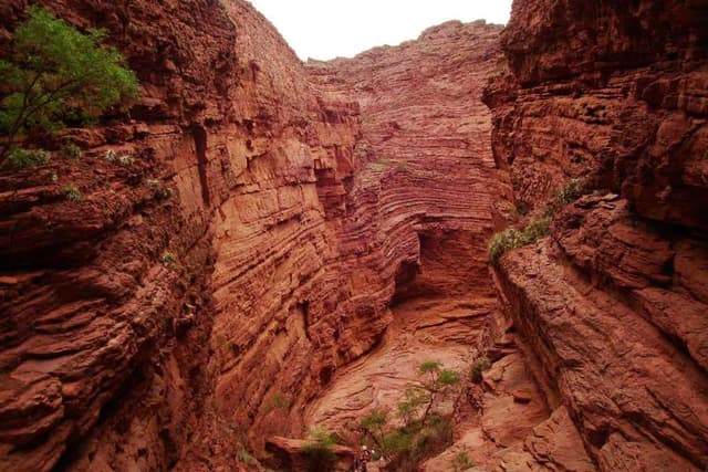 Salta Tour Combo: Passeio Cafayate + Humahuaca + Traslado de chegada e partida + Passeio a pé gratuito