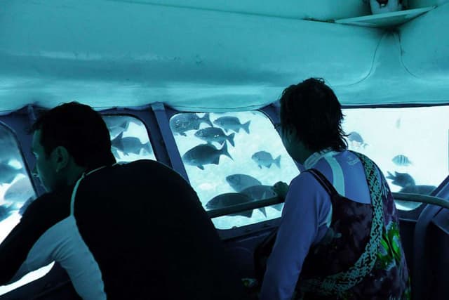 Isla de San Andrés Tour Semi submarino pela Baía