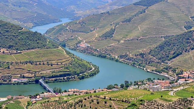 Porto Tour Tour pelo Douro: Um passeio mágico pela cultura e tradição da região