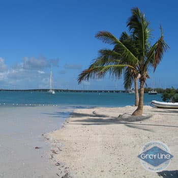 Fort Lauderdale Tour Pernoite em Key West desde Fort Lauderdale