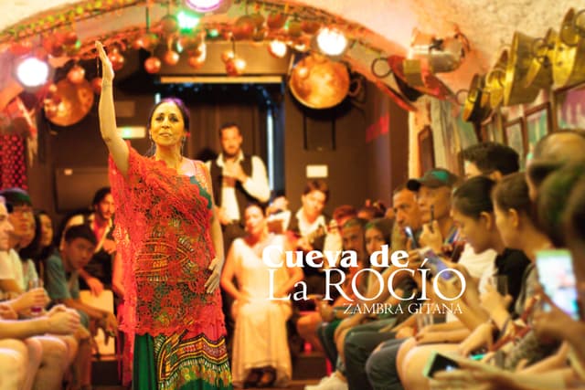 Granada Ticket Show de flamenco em Granada