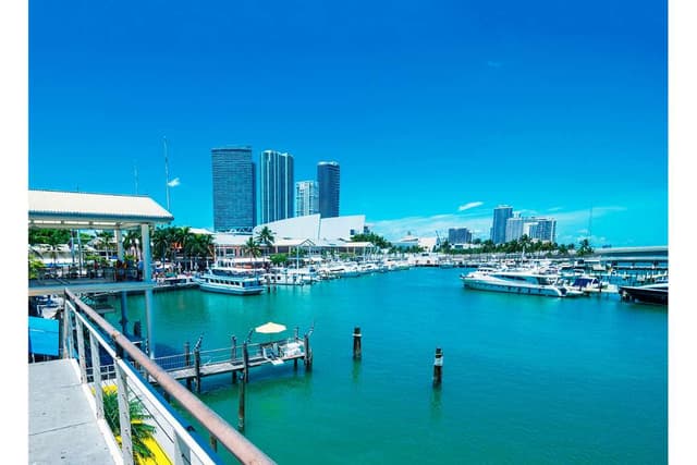 Miami Tour Passeio de barco pela Baia Biscayne