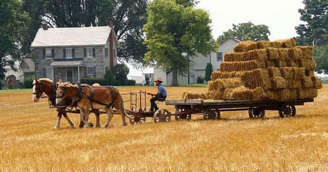 New York Tour Visita a Filadélfia e Pueblo Amish de 1 día em espanhol
