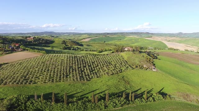 Florence Tour Experiência única em Chianti - vinho e degustação pela manhã
