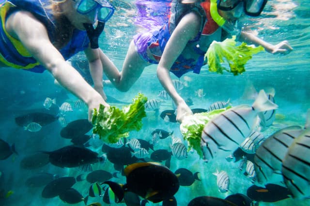 Honolulu Ticket Passe de atrações Go City Oahu All Inclusive