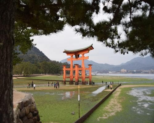 Kyoto Tour Excursão de ônibus de 1 dia em Hiroshima e Miyajima saindo de Kyoto