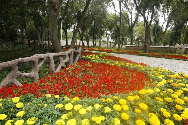 Istambul Tour City tour Tesouros de Istambul - Full day