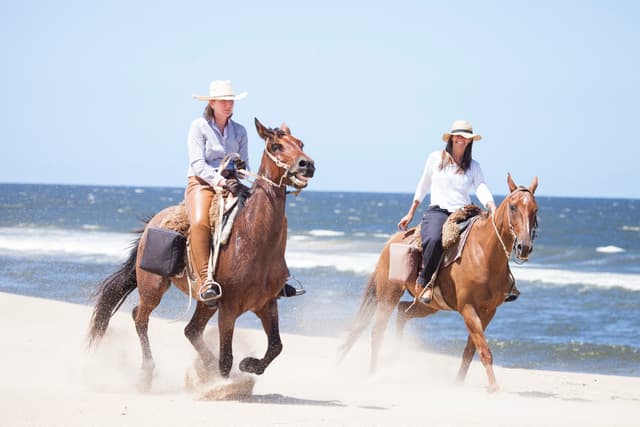 Punta del Este Tour CAVALGADA NA PRAIA