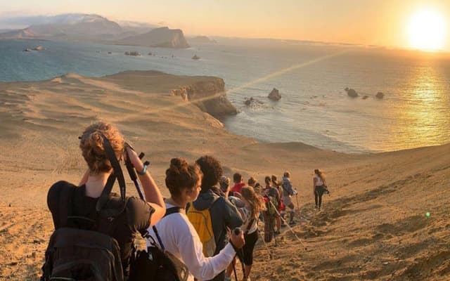 Paracas Tour Fuga de dia inteiro: Ilhas Ballestas e Reserva Paracas