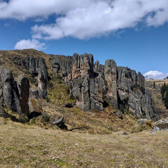 Cajamarca Tour Cumbemayo Marvels - Desvendando a Floresta de Pedra