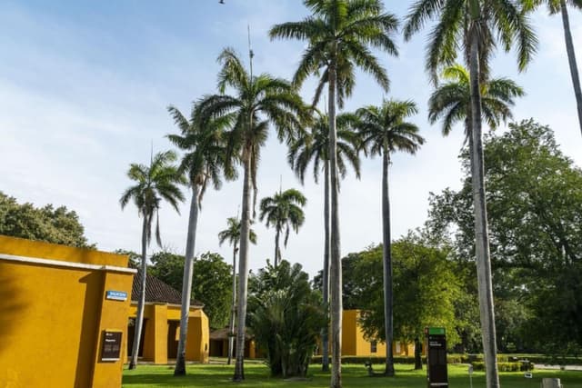 Santa Marta Tour Visita à cidade de Santa Marta