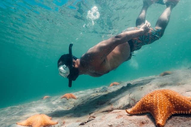 Bocas del Toro Tour Descubra Playa Estrella em Bocas del Toro: Natureza, Estrelas do Mar e Praias Idílicas