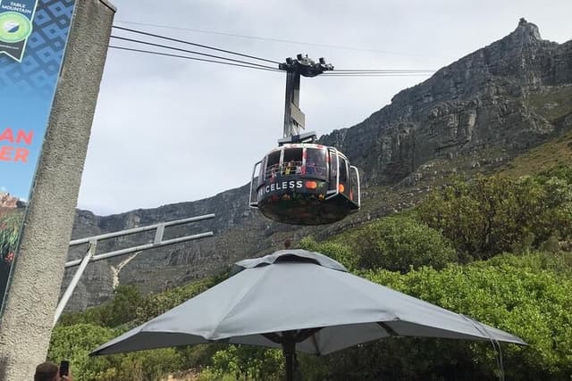 Cape Town Tour Excursão para grupos pequenos na Montanha da Mesa, Pinguins e Cape Point