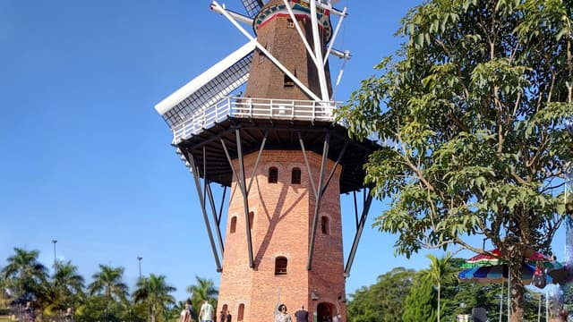 Holambra Tour Tour a Pé Pet Friendly