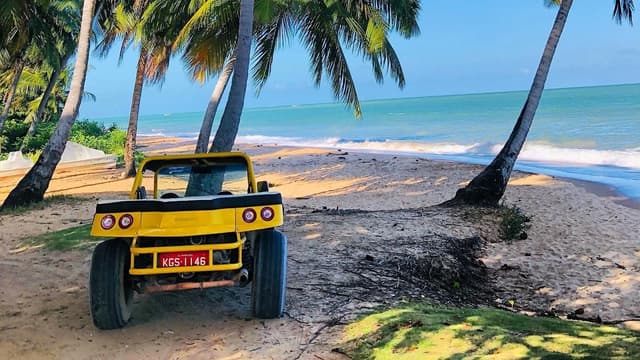 Japaratinga Tour Passeio de buggy na praia de Japaratinga